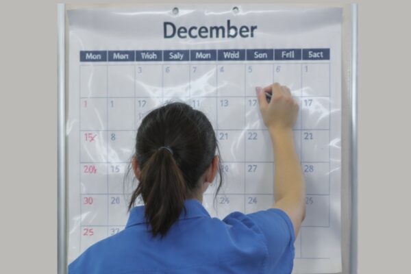 DIAS DOMINGOS